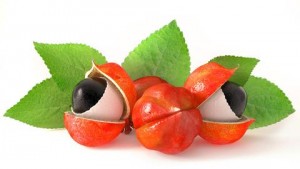 guarana-eyes.jpg