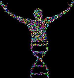 dna-2789567_960_720.png