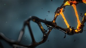 dna-1903875_960_720.jpg