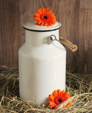 milk-can-1990088_960_720.jpg