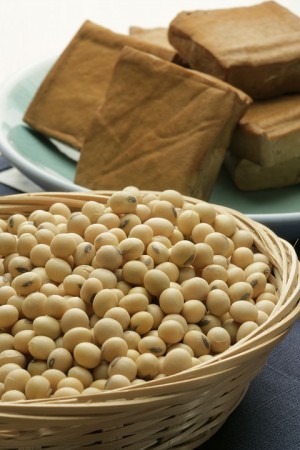 soybean-2760711_960_720.jpg