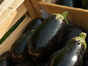 eggplant-1707629_960_720.jpg