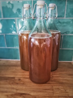 kombucha-1074594_960_720.jpg