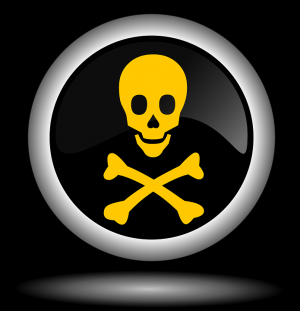 skull-1426813_960_720.png