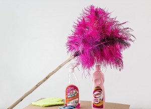 feather-duster-709124_960_720.jpg