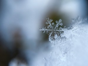 snowflake-1245748_960_720--1-.jpg