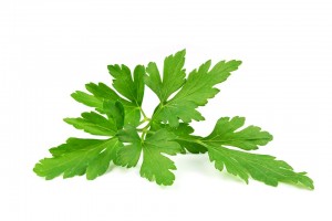 petrzelka-parsley-leaves-3327372_960_720.jpg