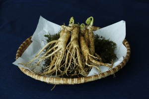 ginseng-3404958_960_720.jpg