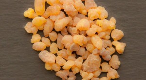 boswellia-sacra-1590063_960_720.jpg