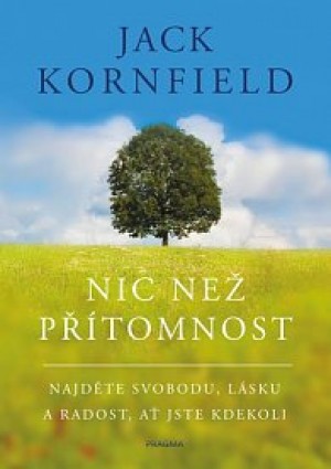 nic-nez-pritomnost.jpg