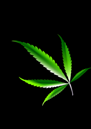 canabis-weed-1503159_960_720.png
